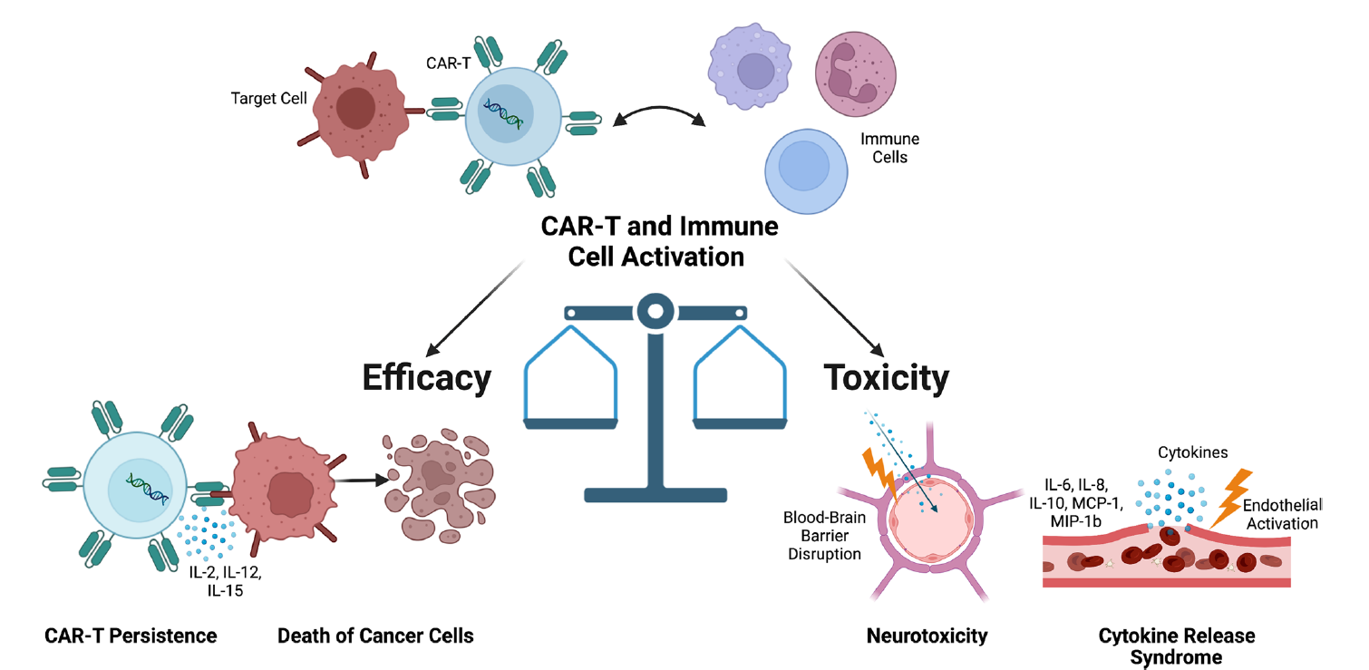 toxiciteit_werkzaamheid