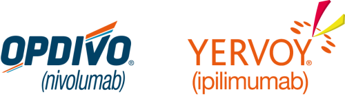 Resized_Logos Opdivo and Yervoy.